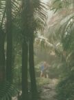 145 Hiking Trail on Rainy Day at El Yunque.JPG (34 KB)